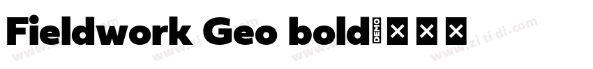 Fieldwork Geo bold字体转换